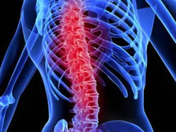 Spine Rehab